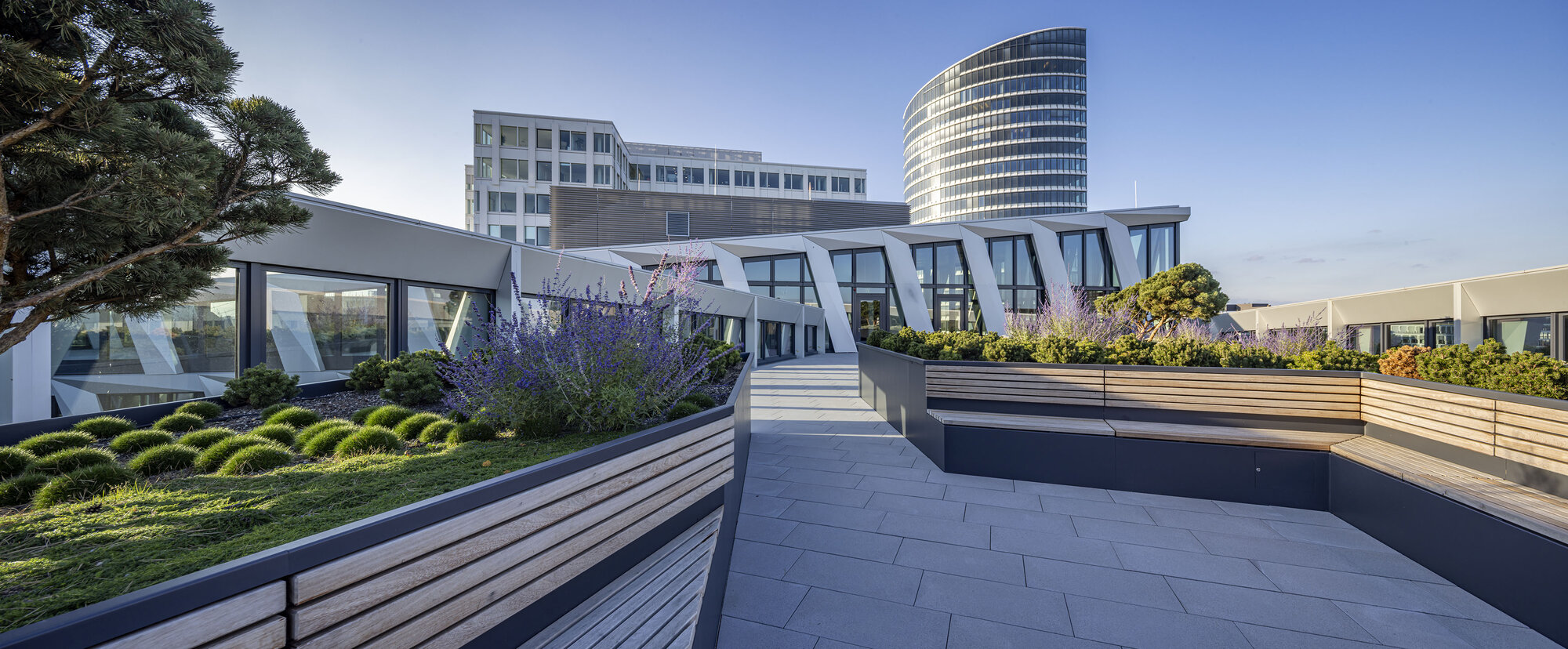 momeni_group_one_paza terrace